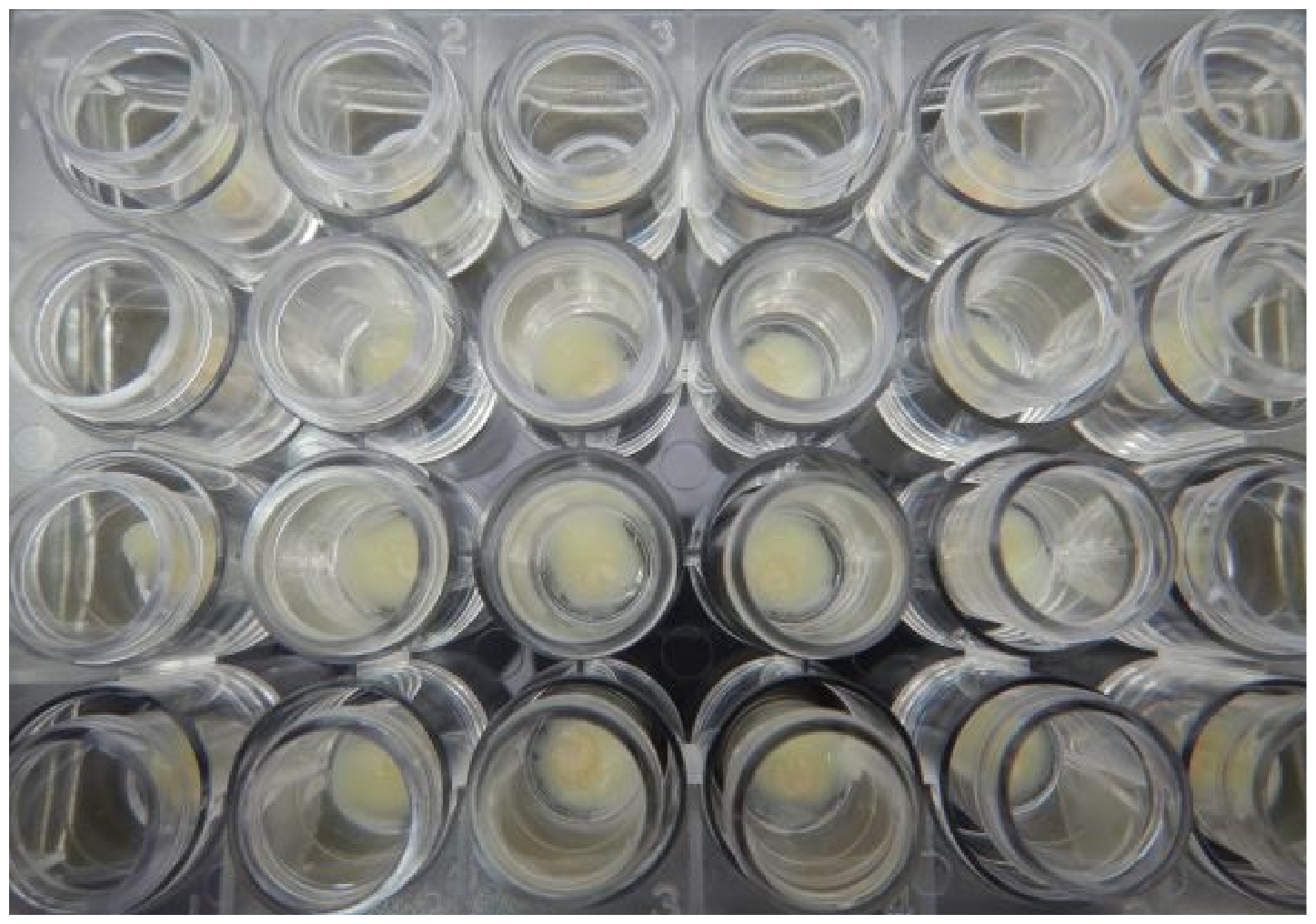 (4) Experimental instruments