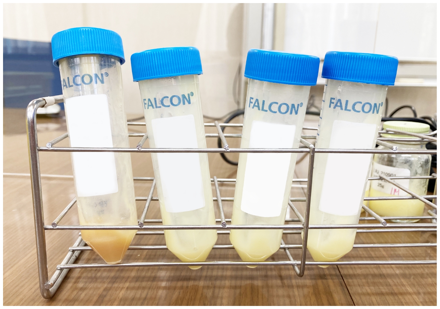(6) Royal jelly used in the experiment (i)