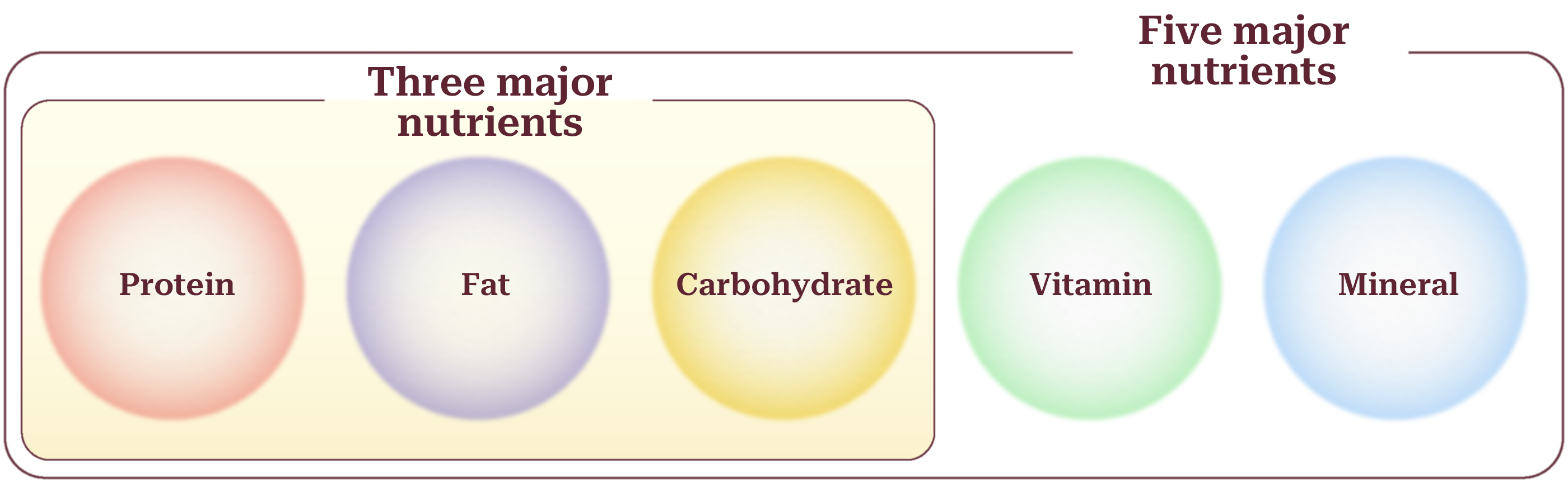 ローヤルゼリーとは