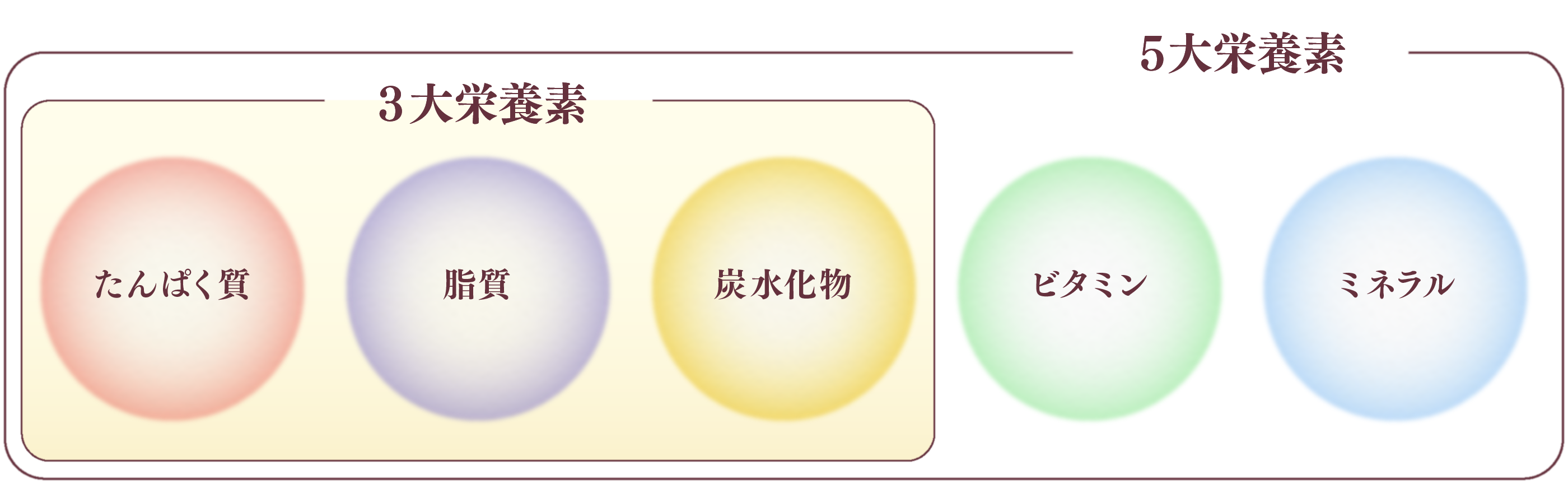 ローヤルゼリーとは