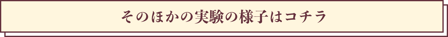 そのほかの実験の様子はコチラ