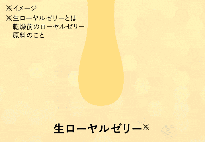 フリーズドライの流れ