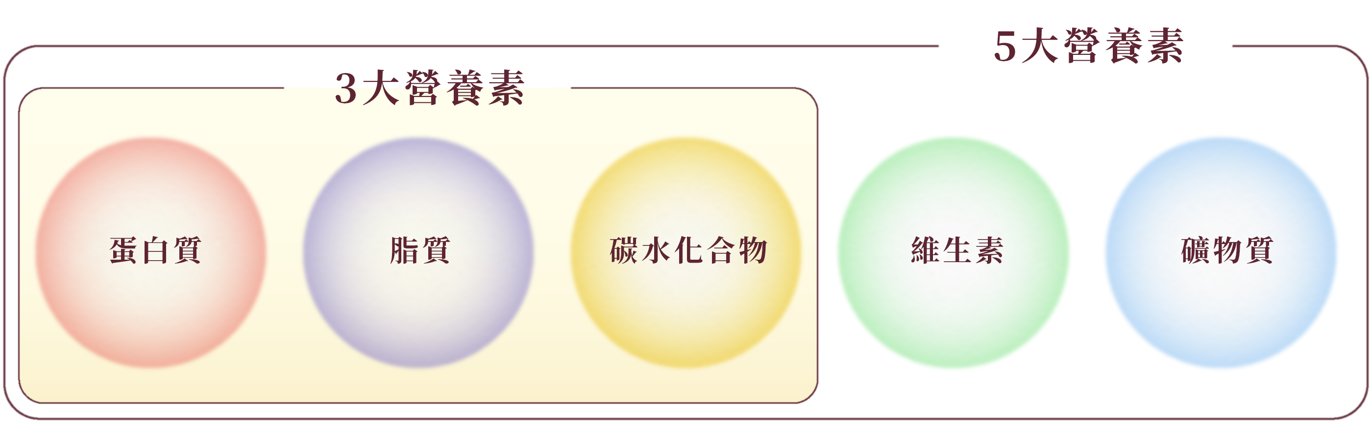 ローヤルゼリーとは